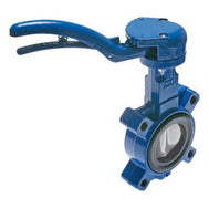 Cast Iron Butterfly Valves (Lugs)