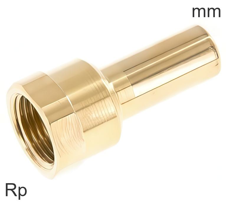 Rcvs Rp Thread Plug-In Fittings Brass Rp-Threads Female | Tameson.com