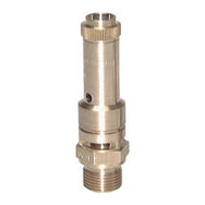 DN8 Non-Adjustable Safety Valves