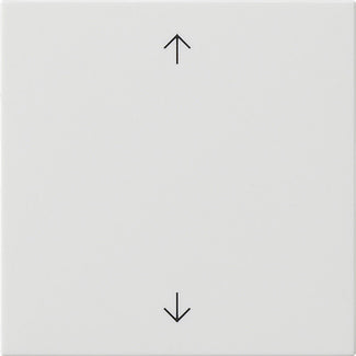 Gira System 3000 Intelligent Control Element - 536103