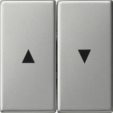 Gira System 55 Control Element/Central Plate Switchgear - 0294600