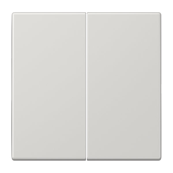 Jung LS990 Control Element/Central Plate Switchgear - LS995LG