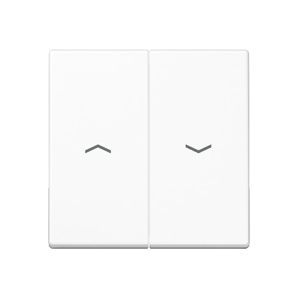 Jung A500 Control Element/Central Plate Switchgear - A595PWW