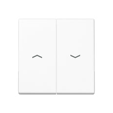 Jung A500 Control Element/Central Plate Switchgear - A595PWW
