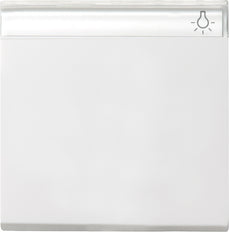 Gira System 55 Control Element/Central Plate Switchgear - 029903