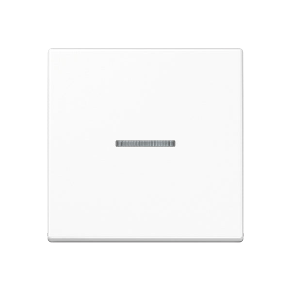 Jung A500 Control Element/Central Plate Switchgear - A590KO5WW