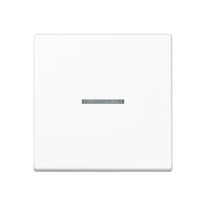 Jung A500 Control Element/Central Plate Switchgear - A590KO5WW