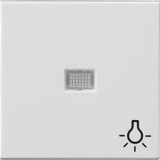 Gira System 55 Control Element/Central Plate Switchgear - 063003