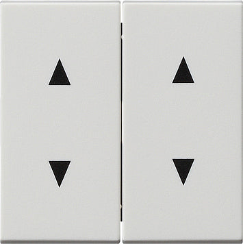 Gira System 55 Control Element/Central Plate Switchgear - 115027