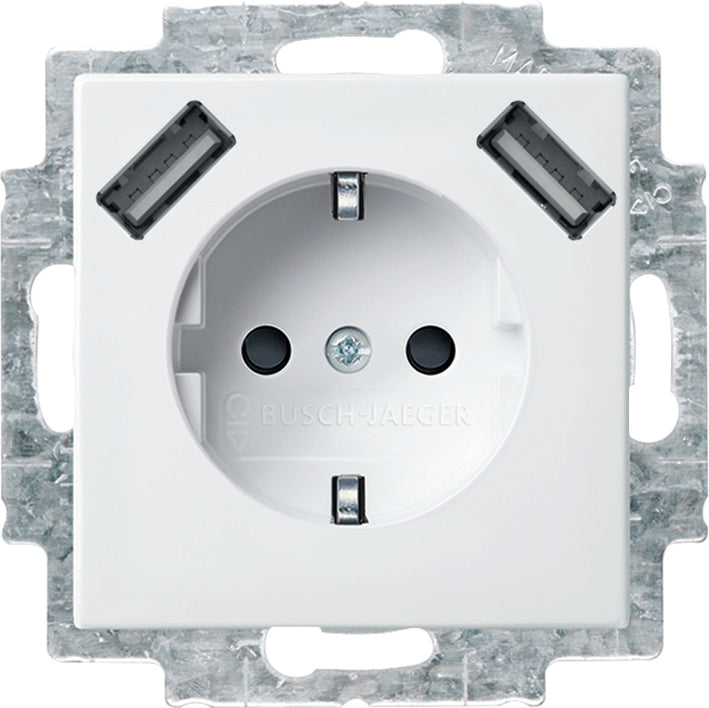 ABB Busch-Jaeger Wall Outlet (WCD Switchgear) - 2CKA002011A6266
