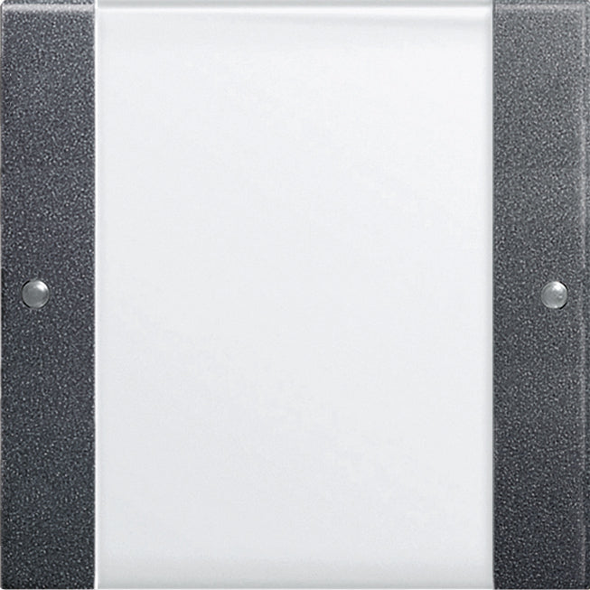Gira System 55 Control Element/Central Plate Switchgear - 213128