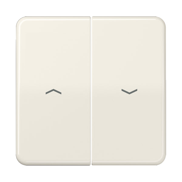 Jung CD500 Control Element/Central Plate Switchgear - CD595P