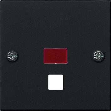 Gira System 55 Control Element/Central Plate Switchgear - 0638005