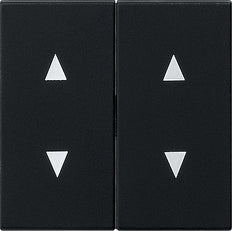 Gira System 55 Control Element/Central Plate Switchgear - 1150005