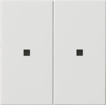 Gira System 3000 Control Element/Central Plate Switchgear - 536903