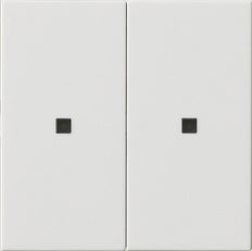 Gira System 3000 Control Element/Central Plate Switchgear - 536903