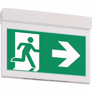 Eaton Blessing GuideLED Emergency Lighting Fixture - 40071353610