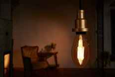 Osram Vintage 1906 LED bulb - 4058075808706