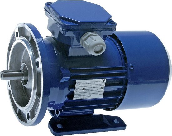 3.0kW 2-Pole Three-Phase Motor IEC 100 B3 Foot Mounted 400/690V