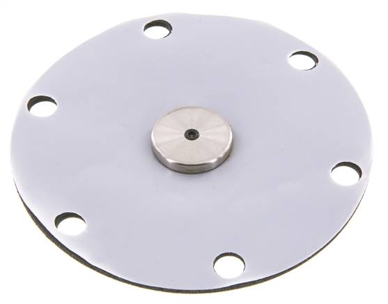 Replacement Diaphragm PTFE/NBR 1'' Stainless Steel