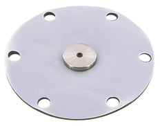 Replacement Diaphragm PTFE/NBR 1'' Stainless Steel