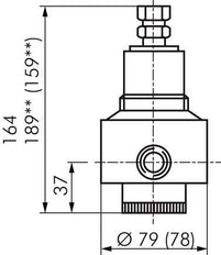 Replacement Diaphragm PTFE/NBR 1/2'' Brass