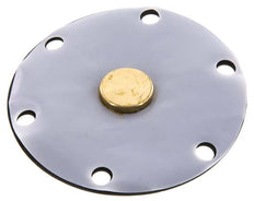Replacement Diaphragm Gases and Liquids PTFE/NBR 1'' Brass