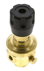 Pressure Regulator G1/4'' 490 l/min 0.2-3.0bar/3-44psi Brass CO2