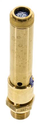 G 1/2'' Brass Pre-Set Safety Valve 47 bar (681.69 psi) DN 10