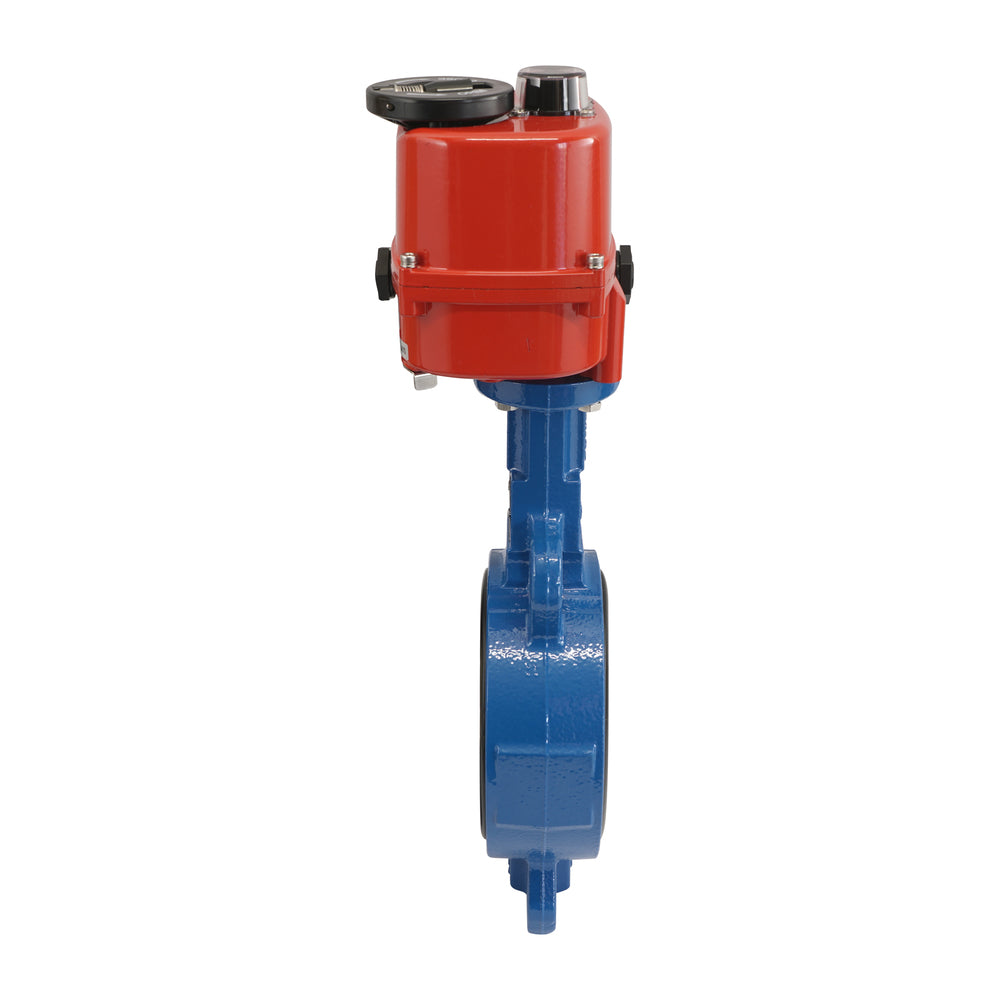 DN50 (2 inch) 24 V AC/DC Modulating Electric Cast Iron BBB Butterfly Valve Lug NBR