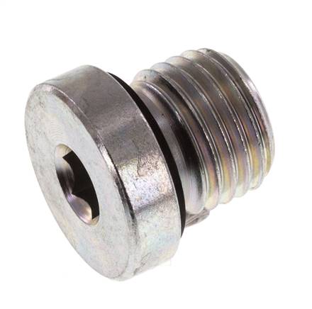 Plug M14 X 1.5 Steel NBR with Internal Hex 400bar (5620.0psi) [2 Piece ...