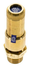 G 1/2'' Brass Pre-Set Safety Valve 7.9 bar (114.58 psi) DN 10