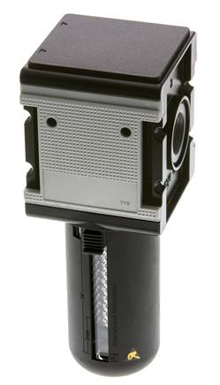Activated Carbon Filter G3/4'' 3000 l/min Semi-Auto Protective Cage Polycarbonate Multifix 4