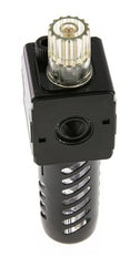 Lubricator G1/4'' Protective Cage Polycarbonate Multifix 1