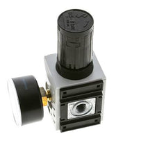 Pressure Regulator for Manifold Assembly G1/4'' 2000 l/min 0.5-8.0bar/7-116psi PA Futura 1