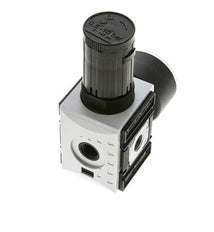 Pressure Regulator for Manifold Assembly G1/4'' 2000 l/min 0.5-10.0bar/7-145psi PA Futura 1