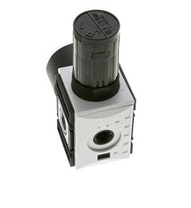 Pressure Regulator for Manifold Assembly G1/4''&3/8'' 2500 l/min 0.1-1.0bar/1-14psi PA Futura 1