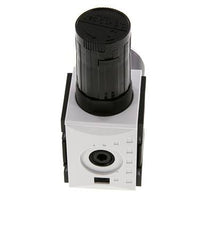 Pressure Regulator G1/4'' 2000 l/min 0.5-10.0bar/7-145psi PA Futura 1