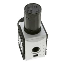 Precision Pressure Regulator for Manifold Assembly G3/8'' 4500 l/min 0.1-1.0bar/1-14psi PA Futura 2