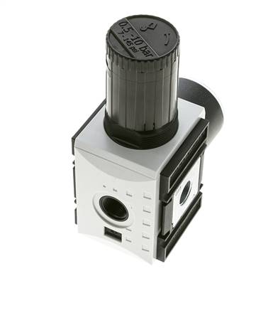 Pressure Regulator for Manifold Assembly G3/8'' 4500 l/min 0.5-10.0bar/7-145psi PA Futura 2