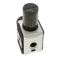 Pressure Regulator for Manifold Assembly G1/2''&3/8'' 5200 l/min 0.5-16.0bar/7-232psi PA Futura 2