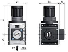 Pressure Regulator for Manifold Assembly G1/4'' 1000 l/min 0.2-4.0bar/3-58psi PA 40 mm Pressure Gauge Futura 0