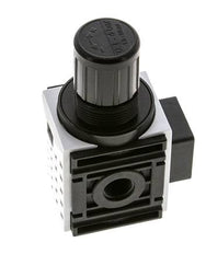 Pressure Regulator for Manifold Assembly G1/4'' 1000 l/min 0.2-4.0bar/3-58psi PA Futura 0
