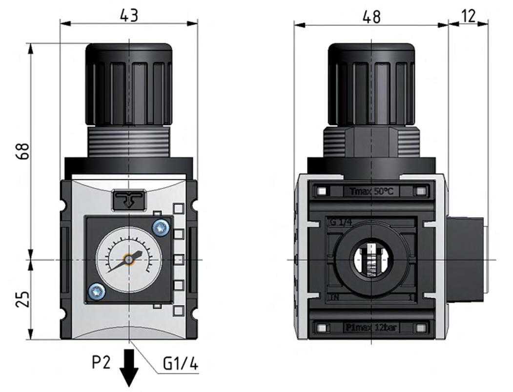 Pressure Regulator for Manifold Assembly G1/4'' 1000 l/min 0.5-8.0bar/7-116psi PA Futura 0