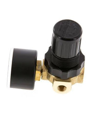 Pressure Regulator G1/4'' 330 l/min 0.1-3.0bar/1-44psi Air Water Brass Standard 0