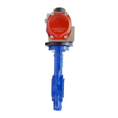 Pneumatic Butterfly Valve DN50 (2 inch) Wafer Cast Iron Stainless Steel EPDM Spring Opening