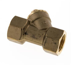 Rp 1/2'' Brass Y Check Valve 10 bar (145 psi) FKM