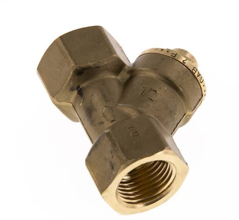 Rp 1/2'' Brass Y Check Valve 10 bar (145 psi) FKM