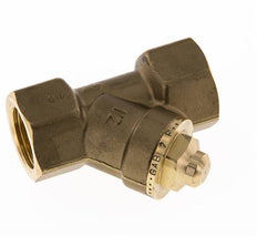 Rp 1/2'' Brass Y Check Valve 10 bar (145 psi) FKM