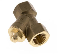 Rp 1/2'' Brass Y Check Valve 10 bar (145 psi) FKM